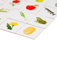 Лото &laquo;Лето в деревне&raquo;