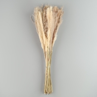 Букет из сухоцветов &laquo;Изумление&raquo;, высота 47 см