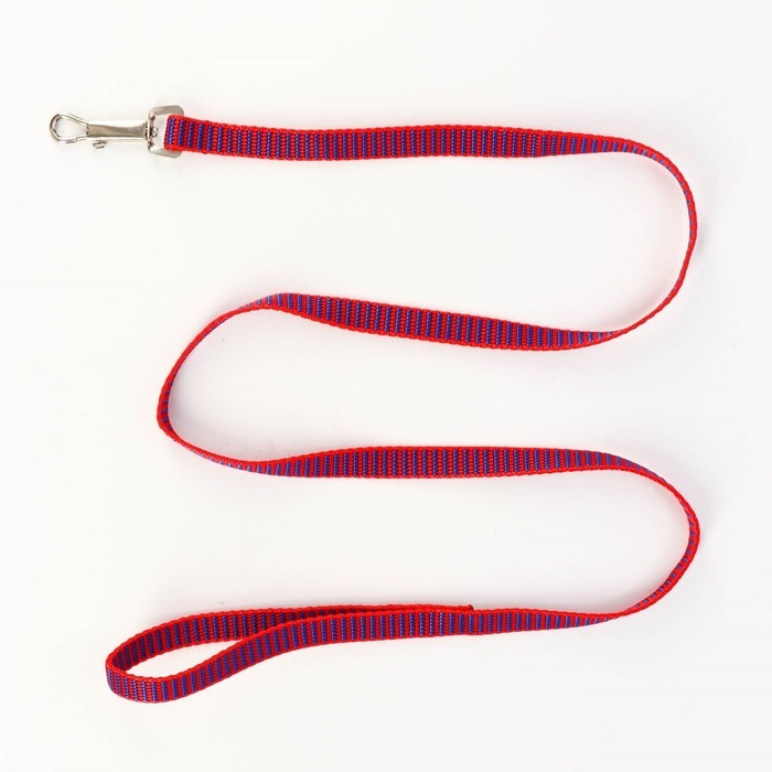 Комплект амуниции рельефный, поводок 120 х 1,5 см, ОГ 36-49 см, красно-синий Комплект амуниции рельефный, поводок 120 х 1,5 см, ОГ 36-49 см, красно-синий