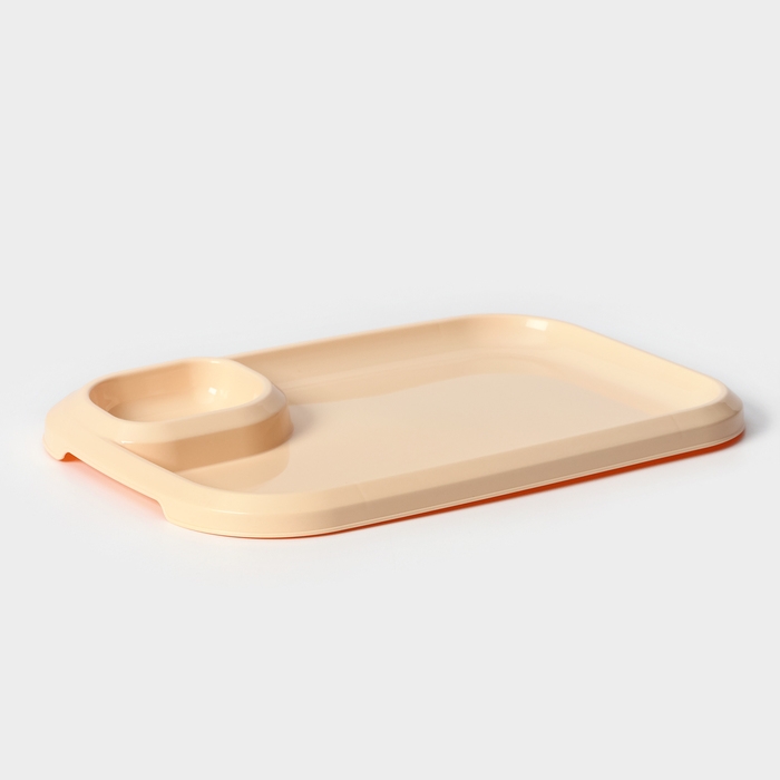 Блюдо для шашлыка с соусницей 30,3×21×2,5 см, цвет бежевый Блюдо для шашлыка с соусницей 30,3×21×2,5 см, цвет бежевый