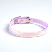 Ошейник для собак и кошек с фастексом «Неон», 30 х 1 см Ошейник для собак и кошек с фастексом «Неон», 30 х 1 см