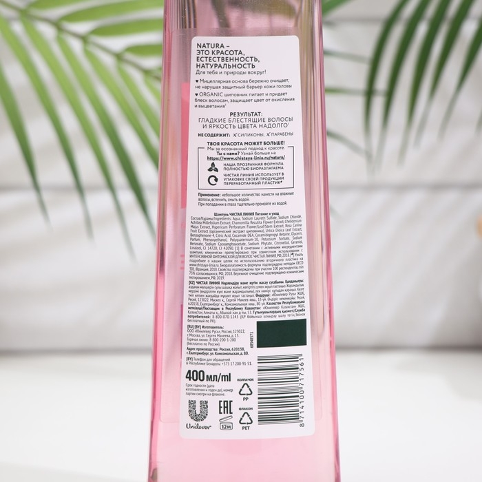 Шампунь для окрашенных волос мицеллярный Чистая линия "питание и уход", 400 мл