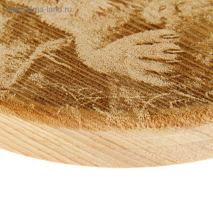 Доска из массива кедра &laquo;Рысь&raquo;, круглая, 18 &times; 18 см