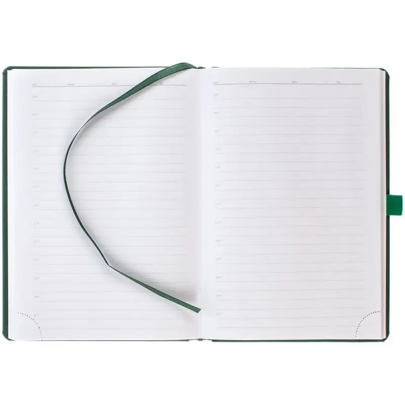 Ежедневник Favor Gold, недатированный, ярко-зеленый