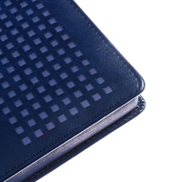 Ежедневник датированный 2025 года, ESCALADA, A5 176 листов, твердая обложка кожзам с поролоном, блинтовое тиснение, перфорация на обложке, блок 70 г/м2, синий