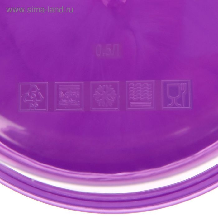 Ланч-бокс круглый FoodVibes &laquo;Котёнок&raquo;, 500 мл