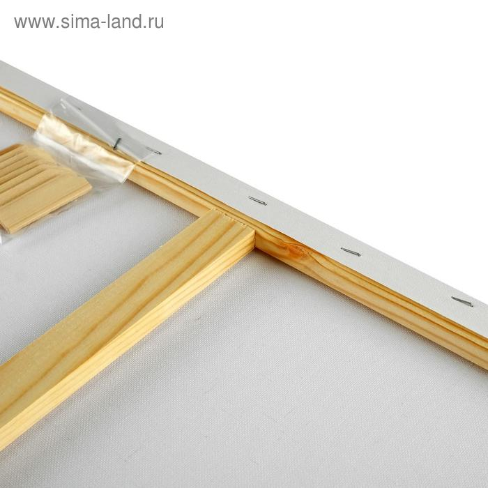 Холст на подрамнике, хлопок 100%, 60 х 80 х 2 см, акриловый грунт, мелкозернистый, 280 г/м&sup2;