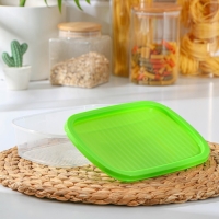 Набор пищевых контейнеров «BioFresh», 3 шт: 500 мл, 1 л, 1.6 л, цвет прозрачный, крышки МИКС Набор пищевых контейнеров «BioFresh», 3 шт: 500 мл, 1 л, 1.6 л, цвет прозрачный, крышки МИКС