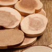 Подставка под горячее «Классика», D=18 см, можжевельник Подставка под горячее «Классика», D=18 см, можжевельник