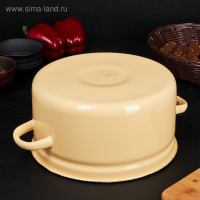 Кастрюля эмалированная, 5,5 л, без деколи, цвет МИКС