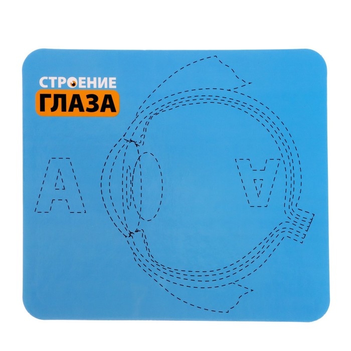 Набор для опытов &laquo;Моё тело&raquo;, глаз