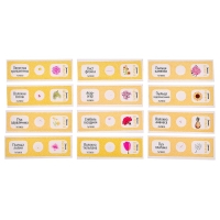 Набор для опытов &laquo;Набор микропрепаратов&raquo;, цветы