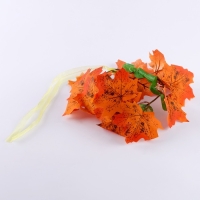 Карнавальный набор &laquo;Осенняя фея&raquo;: крылья, венок, палочка