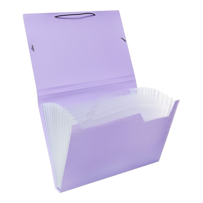 Папка картотека А4, Calligrata Папка картотека А4, Calligrata "Акварель", 13 отделений, пластиковая, 700 мкм, лавандовая, резинка чёрная