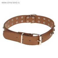 Ошейник клепаный в 2 ряда, 65 х 3,4 см, ОШ 50-60 см, коричневый Ошейник клепаный в 2 ряда, 65 х 3,4 см, ОШ 50-60 см, коричневый
