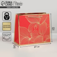 Пакет подарочный ламинированный, упаковка, &laquo;With best wishes&raquo;, 27 х 23 х 12 см