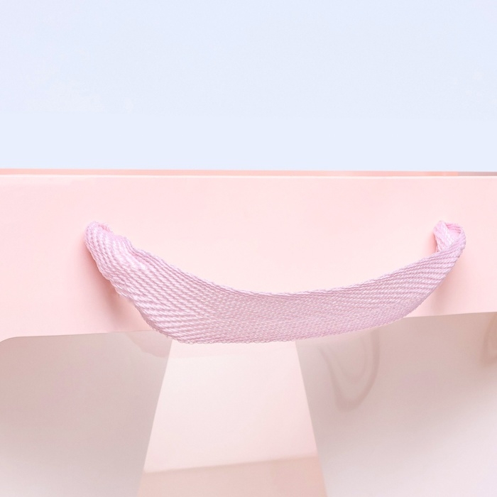 Пакет подарочный, крафт, с окном, &laquo;Розовый&raquo;, 20 х 20 х 20 см