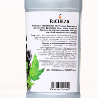Концентрат RiCHEZA &laquo;Черная Смородина - Мята&raquo;, 1000 г