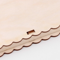 Купюрница, 2.5 &times; 9.5 &times; 17