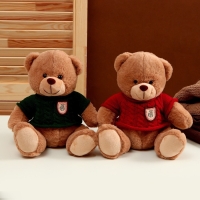 Мягкая игрушка «Медведь» в свитере, 25 см, цвет МИКС Мягкая игрушка «Медведь» в свитере, 25 см, цвет МИКС