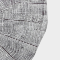 Салфетка сервировочная на стол &laquo;Спил&raquo;, 38&times;39 см, цвет серый