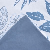 Постельное бельё Этель 2 сп Plain 180х215 см, 200х225 см, 50х70&plusmn; 3 см-2 шт, новосатин