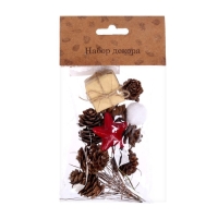 Набор новогоднего декора "Незабываемый праздник" размер шишек: 1,5 × 2 см Набор новогоднего декора "Незабываемый праздник" размер шишек: 1,5 × 2 см