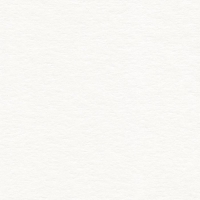 Папка для акварели А4, 210 х 297 мм, 10 листов, блок 200 г/м2, бумага по ГОСТ 7277-77