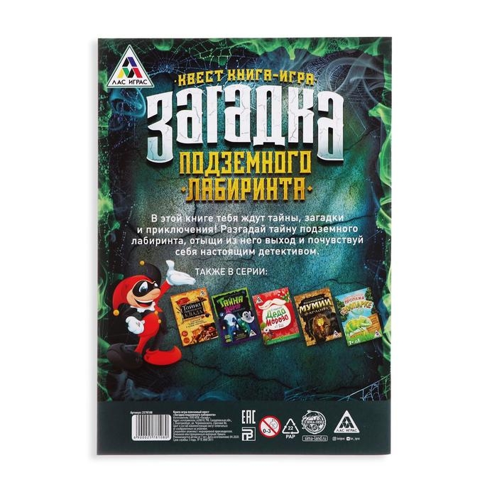 Книга-квест &laquo;Загадка подземного лабиринта&raquo; версия 1, 7+