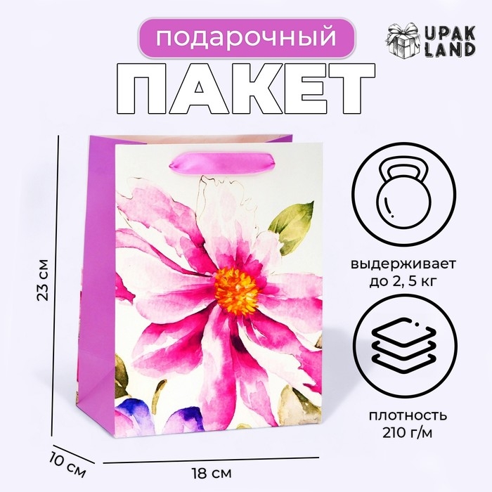 Пакет ламинированный &laquo;Акварель&raquo;, MS 18 &times; 23 &times; 10 см