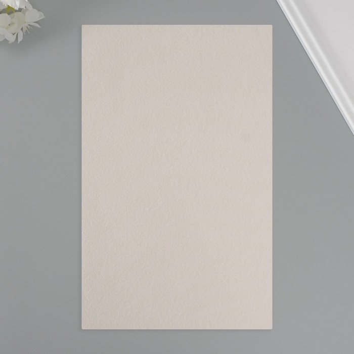 Лист для творчества иск.кожа "Личи. Перламутр" серебро лист 33х20 см толщина 0,9 мм