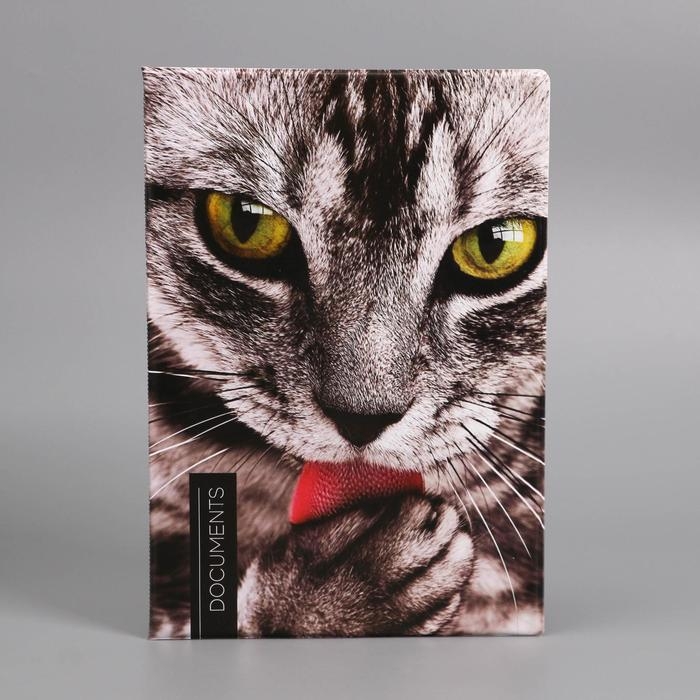 Папка для документов &laquo;Docs&raquo;, 8 файлов А4