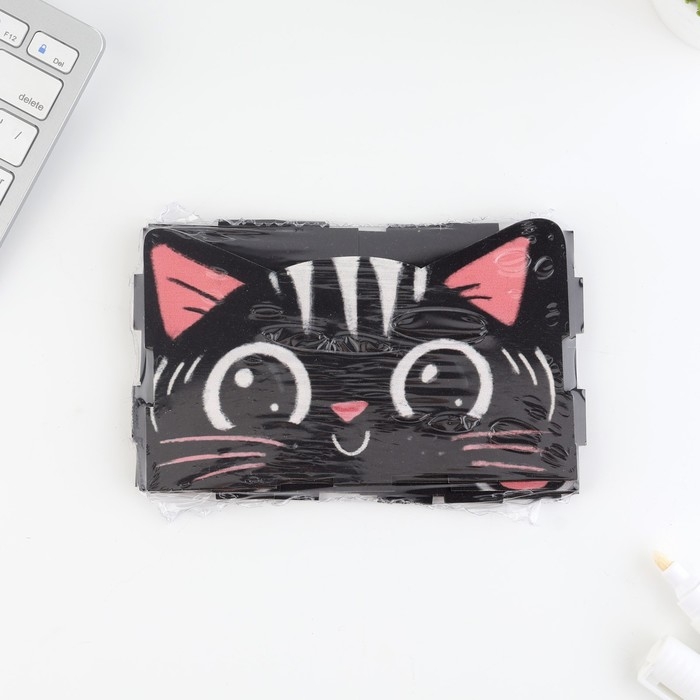 Органайзер для канцелярии &laquo;Чёрный котик&raquo;