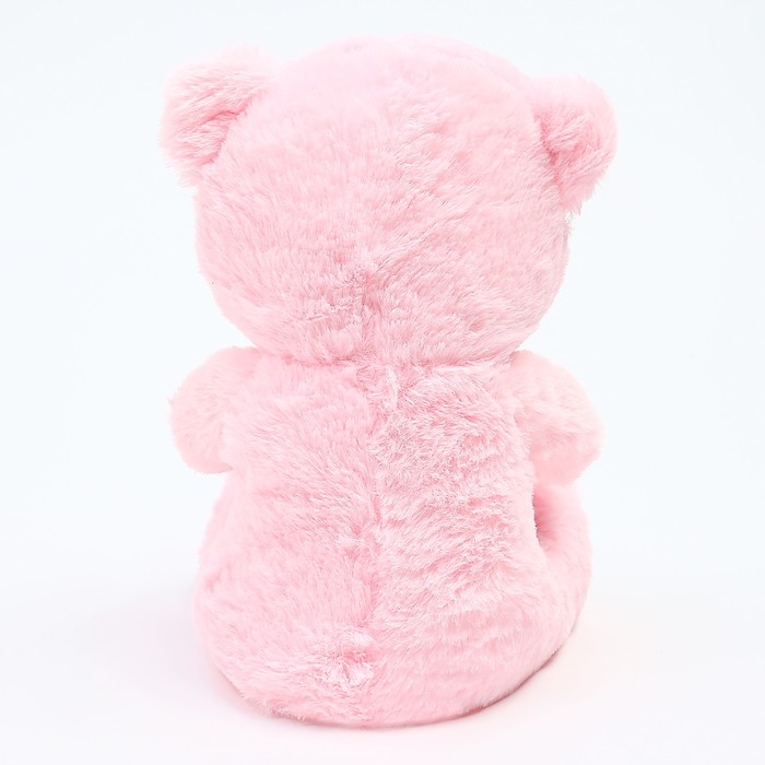 Мягкая игрушка &laquo;Мишка&raquo;, 25 см, цвета МИКС