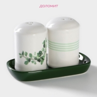 Набор для специй Доляна &laquo;Эвкалипт&raquo;, 2 предмета: солонка 130 мл, перечница 130 мл