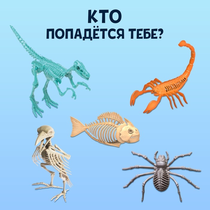 Набор для опытов &laquo;Древний мир&raquo;