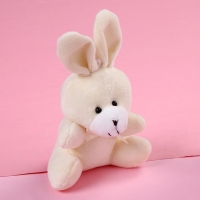 Мягкая игрушка &laquo;Ты как первое свидание&raquo;, заяц, цвета МИКС