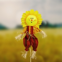 Огородное пугало &laquo;Солнце&raquo;, h = 50 см, МИКС, Greengo