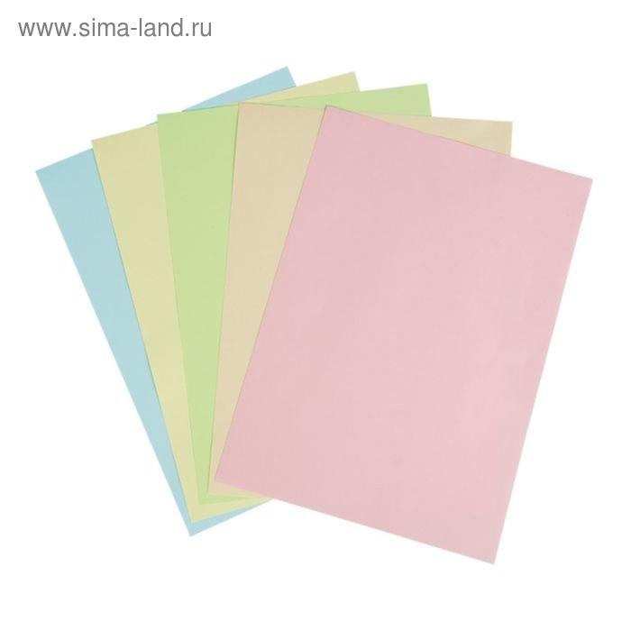 Бумага цветная А5, 100 листов Calligrata Пастель, 5 цветов, 80 г/м&sup2;