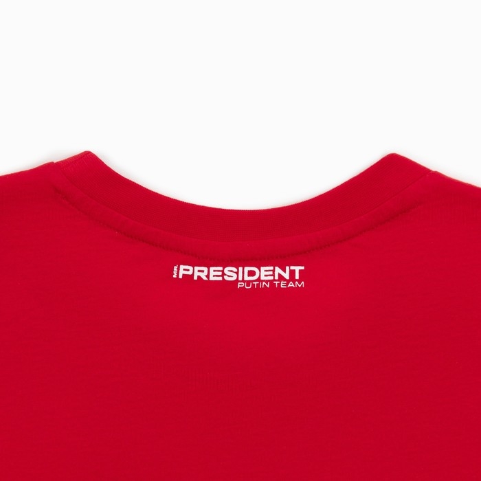 Футболка President Спорт.Хоккей, L, красный, 100% хлопок, кул.гладь 150 г/м2 Футболка President Спорт.Хоккей, L, красный, 100% хлопок, кул.гладь 150 г/м2