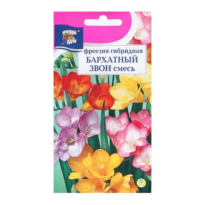 Семена цветов Фрезия гибридная Семена цветов Фрезия гибридная "БАРХАТНЫЙ ЗВОН", смесь, 0,04 г