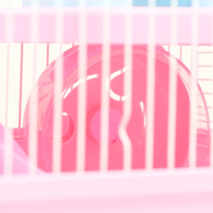 Клетка для грызунов "Пижон" с замком, 31 х 24 х 27 см, розовая