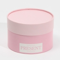 Набор шляпных коробок 3 в 1, упаковка подарочная, &laquo;Нежные цвета&raquo;, 16 х 10, 14 х 9, 13 х 8,5 см