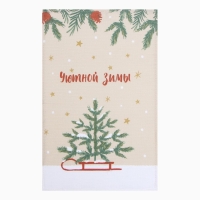 Новый год. Набор полотенец Доляна "Зимние праздники" 28х46 см - 2 шт, 100% хл, вафля 160 г/м2