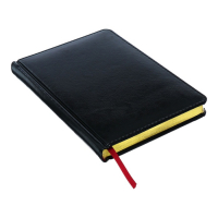 Ежедневник недатированный А5+, 136 листов Sidney Nebraska, твёрдая обложка, искусственная кожа, золотой срез, чёрный