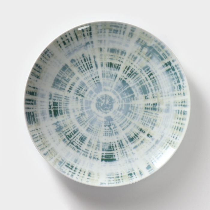 Тарелка фарфоровая &laquo;Тортуга&raquo;, d=24 см