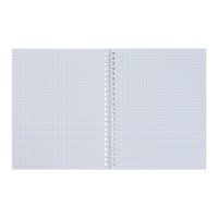 Тетрадь 96 листов в клетку на гребне "Мята. METALLIC", обложка бумвинил, блок офсет Тетрадь 96 листов в клетку на гребне "Мята. METALLIC", обложка бумвинил, блок офсет