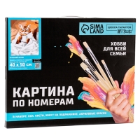 Картина по номерам на холсте с подрамником «Утренний котик», 40 х 50 см Картина по номерам на холсте с подрамником «Утренний котик», 40 х 50 см