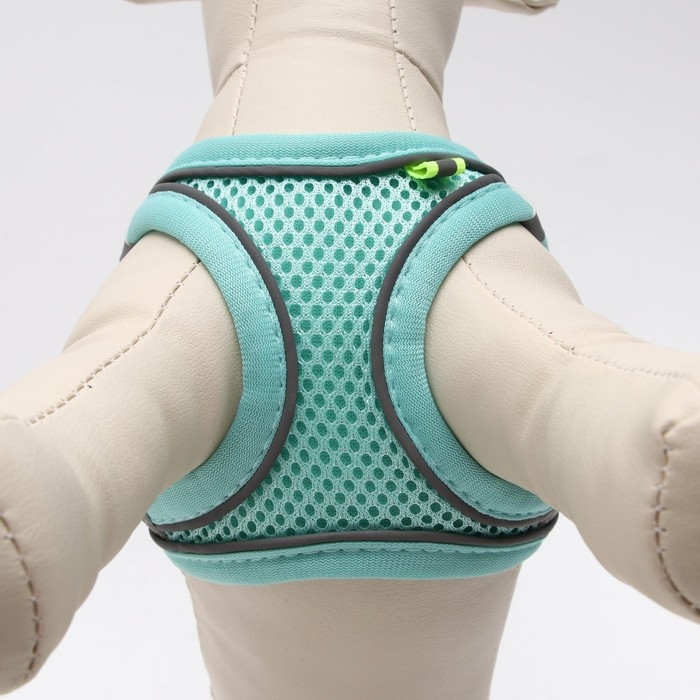 Комплект с мягкой шлейкой, размер XXS, поводок 150 х 1,5 см, ОГ 28-30 см, ОШ 24-26 см, бирюз Комплект с мягкой шлейкой, размер XXS, поводок 150 х 1,5 см, ОГ 28-30 см, ОШ 24-26 см, бирюз