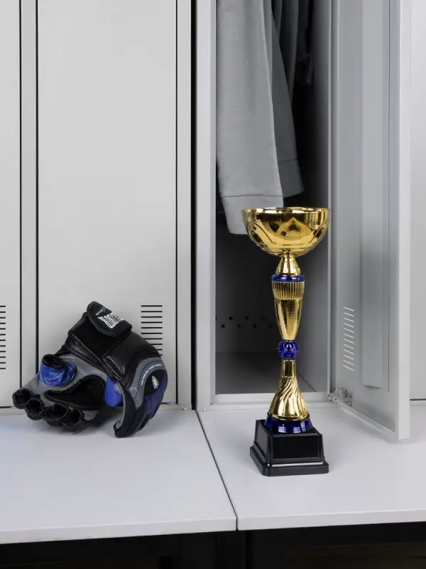 Кубок Awardee, средний, синий